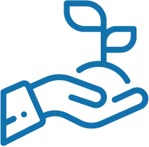 a hand holding a plant